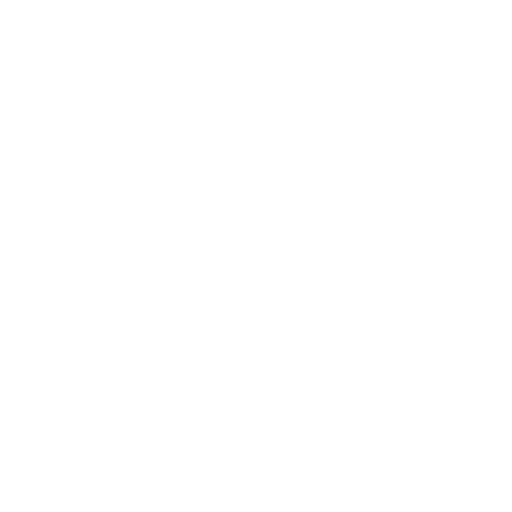 Pre-Purchase Inspection